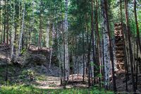 Руины здания фабрики на Французской горке. Автор: Илья Пономарев (http://photo-ilius.livejournal.com/)