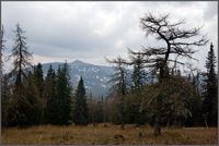 Хребет Аваляк. Автор: Андрей Коротнев (http://www.panoramio.com/user/268724)