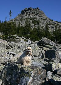Гора Сукташ. Автор: milka 74 (http://www.geocaching.su/?pn=101