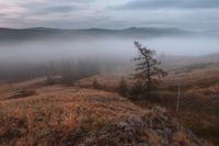Гора Калкан. Автор: Марат Ахметвалеев (http://marateaman.livejournal.com/52082.html)
