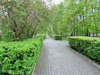 Сквер им. С. С. Андреевского. Автор: adibrova (http://adibrova.livejournal.com/)