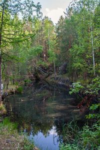 Водоем на Французской горке. Автор: Илья Пономарев (http://photo-ilius.livejournal.com/)