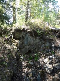 На Еремеевской копи, 15 августа 2015. Автор: Евсеев А.А. (http://geo.web.ru)