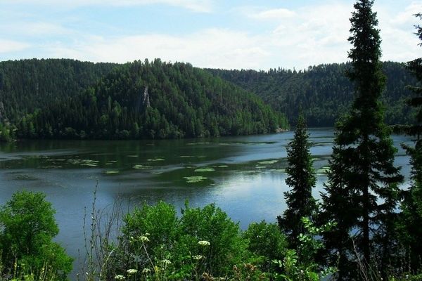 Жукова шишка Место: г. Сим Автор: Кристина Юдинцева