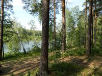 Берег озера Бараус