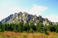 Откликной гребень  10