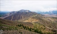 Карабаш 242