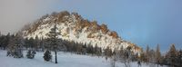 Откликной гребень 18
