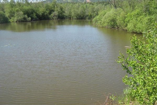 Пойма реки Атлян. Водоем №2. Автор: Олег Куделенский.