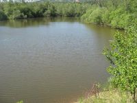 Пойма реки Атлян. Водоем №2. Автор: Олег Куделенский.