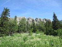 Откликной гребень 8