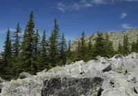 Малый Иремель. Автор: Евгений Чибилёв.