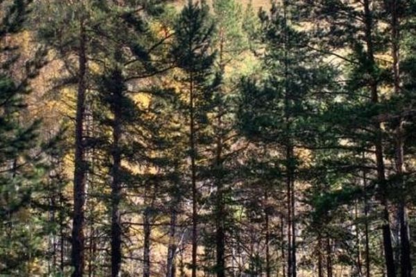 Палатка на фоне одной из гор хребта Нурали. Автор: Константин Минаков.