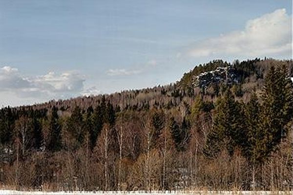 Алимпиев кордон. На заднем плане хребет Нургуш. Автор: Тулупов Алексей.