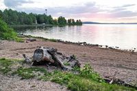 Берег озера Синара. Автор: Людмила Курлова.