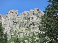 Откликной гребень  9