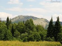 Откликной гребень