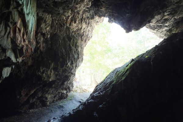 Сугомаская пещера 281