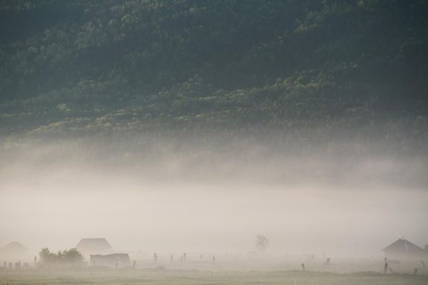 Экопоселение Александровка. Туман.