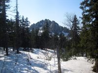 Откликной гребень Автор: tia Ramona (http://tia-ramona.livejournal.com/)
