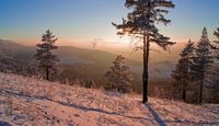 Ильменский заповедник. Автор: Евгений Егорейченков