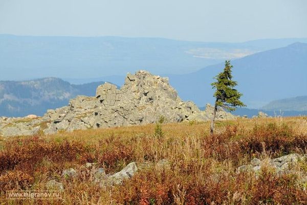 Скалы-останцы на склонах Малого Иремеля. Автор: Руслан Мигранов.