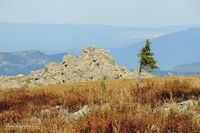Скалы-останцы на склонах Малого Иремеля. Автор: Руслан Мигранов.