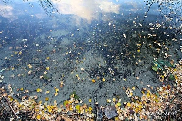 Вода озера Пыхово. Автор: isilgan (Канов Михаил).