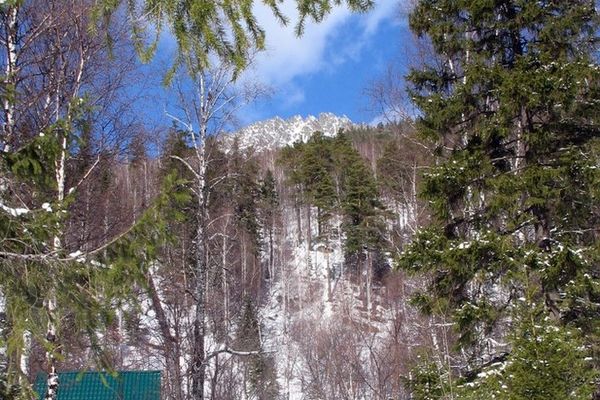 Приют "Белый ключ" 7