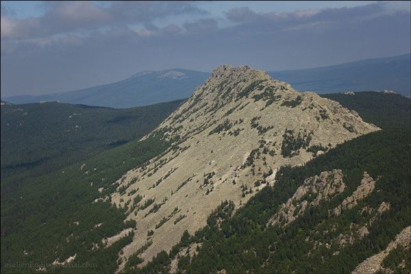 Откликной гребень 