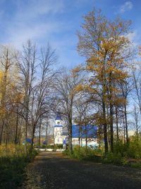 Аша. Автор: Марсель Хафизов.