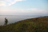Касарги с берега. Автор: tanush.