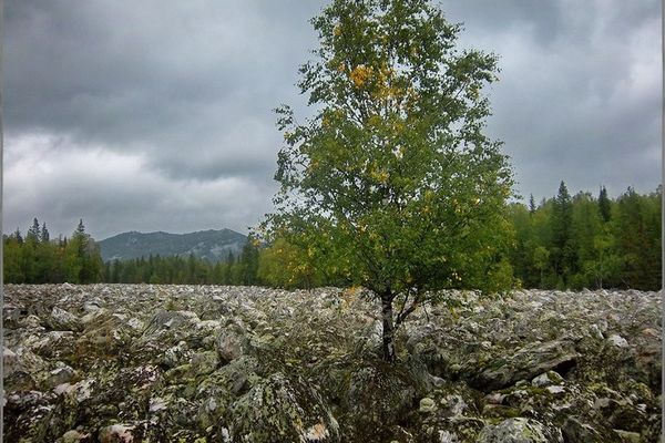 Большая каменная река. Место: Таганай. Автор: Lunargeorge