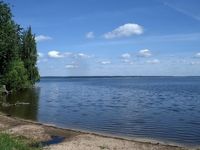Озеро Синара летом. Автор: Людмила Курлова.