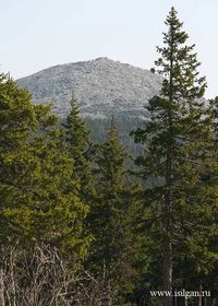 Гора Круглица  11