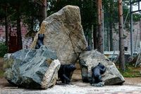 Горный парк имени Павла Петровича Бажова Автор: D1monZlat (http://d1monzlat.livejournal.com/)