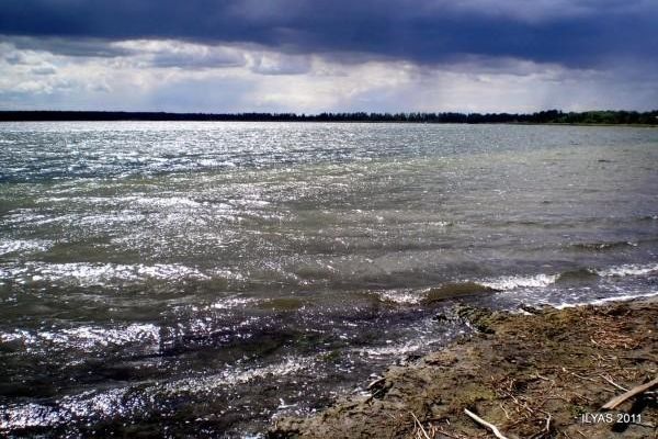 2011 год, северо-восточная часть озера Горькое. Автор: Ильяс Камалов.