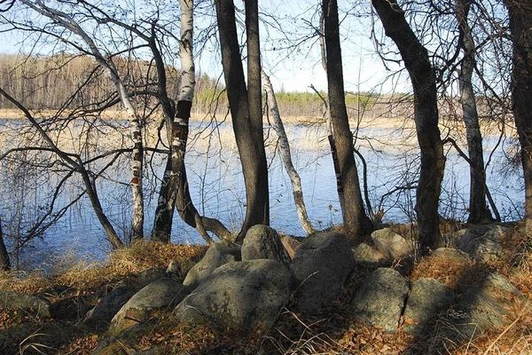 Озеро Биляшкуль. Берег.